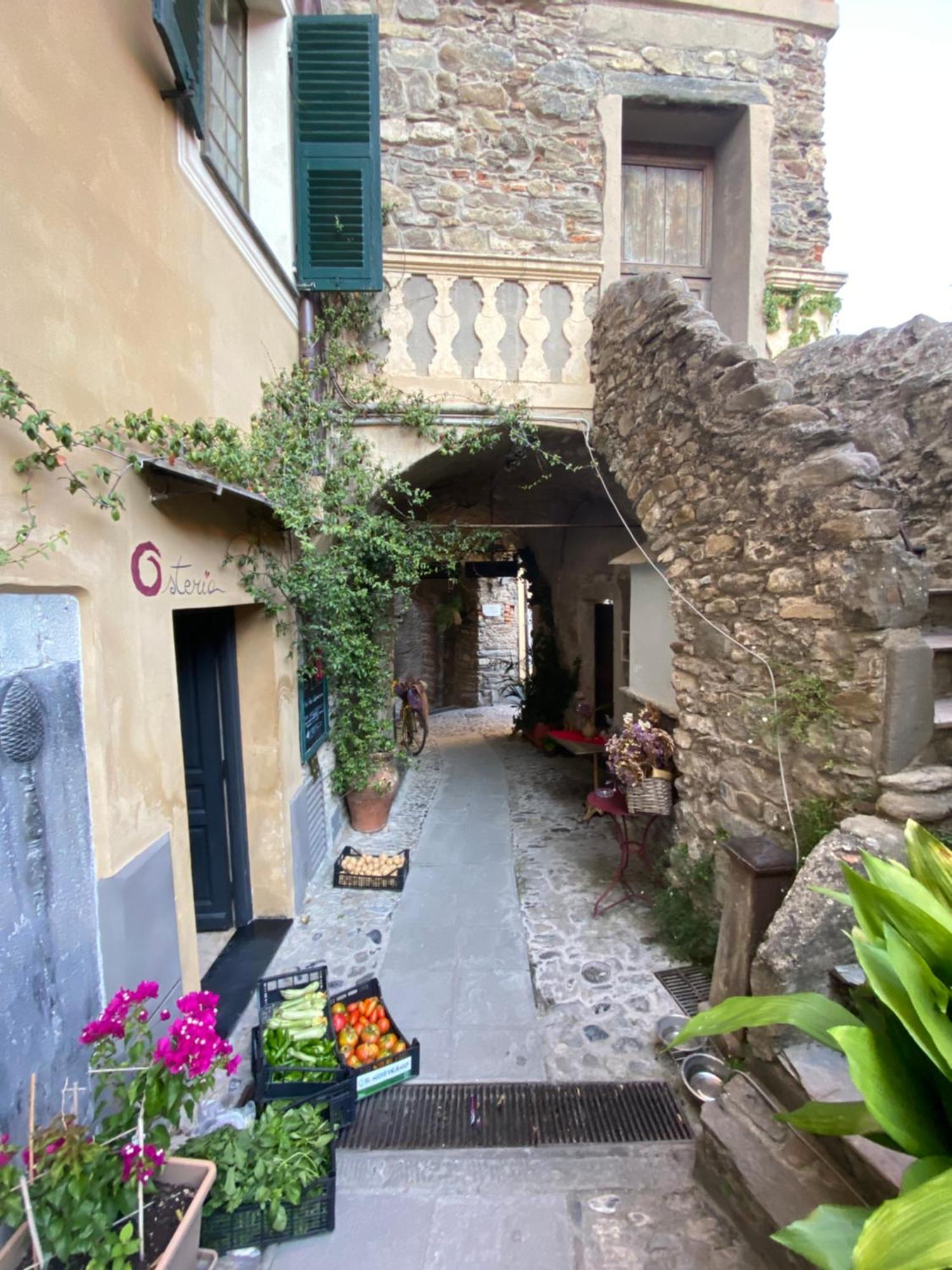 Iconic Italian Townhouse W Rooftop Terrace & Mountain View, פיניה מראה חיצוני תמונה