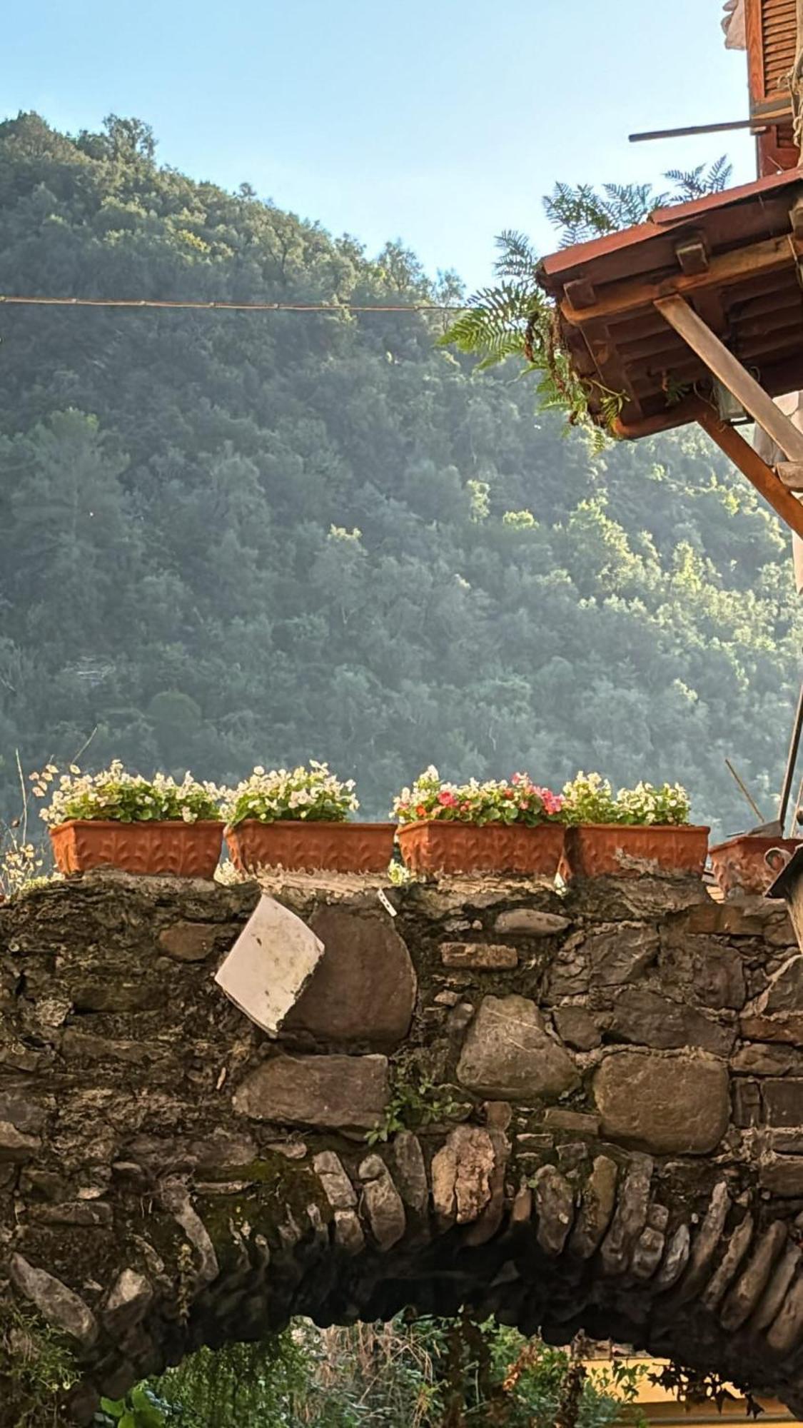 Iconic Italian Townhouse W Rooftop Terrace & Mountain View, פיניה מראה חיצוני תמונה